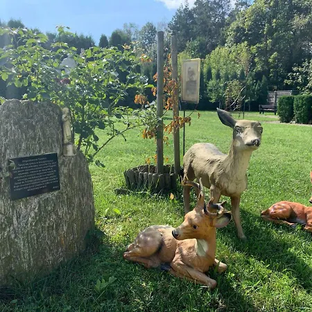 Dom Pielgrzyma Schr Vandrerhjem Częstochowa